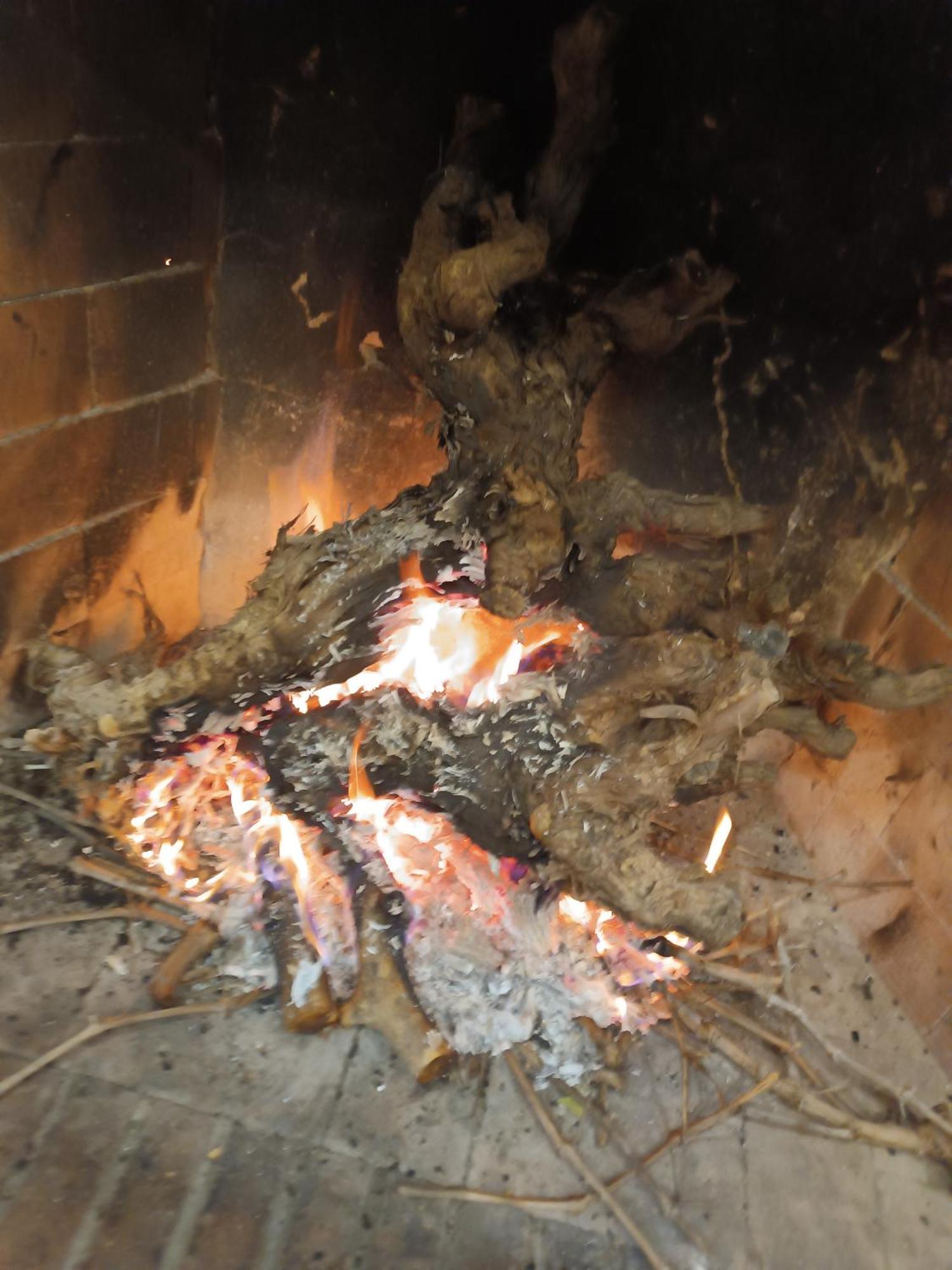 Hébergement de vacances Cuevas Del Abismo *